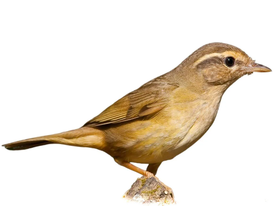 20261009004041.png