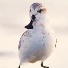 站点头像
